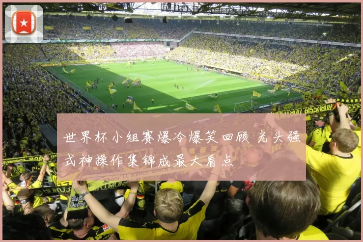 世界杯小组赛爆冷爆笑回顾 光头强式神操作集锦成最大看点