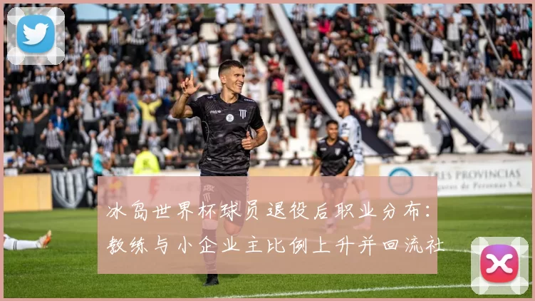 冰岛世界杯球员退役后职业分布：教练与小企业主比例上升并回流社区
