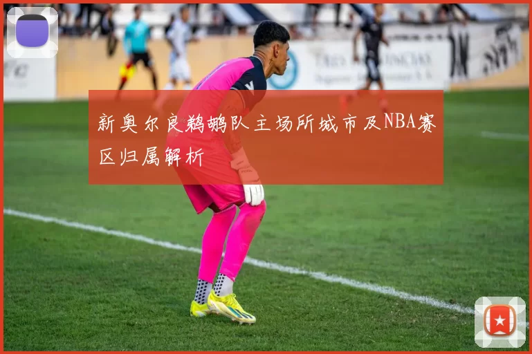 新奥尔良鹈鹕队主场所城市及NBA赛区归属解析