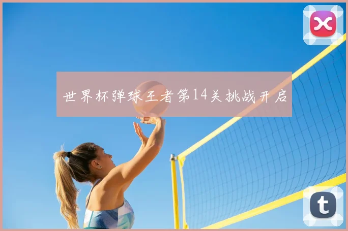 世界杯弹球王者第14关挑战开启