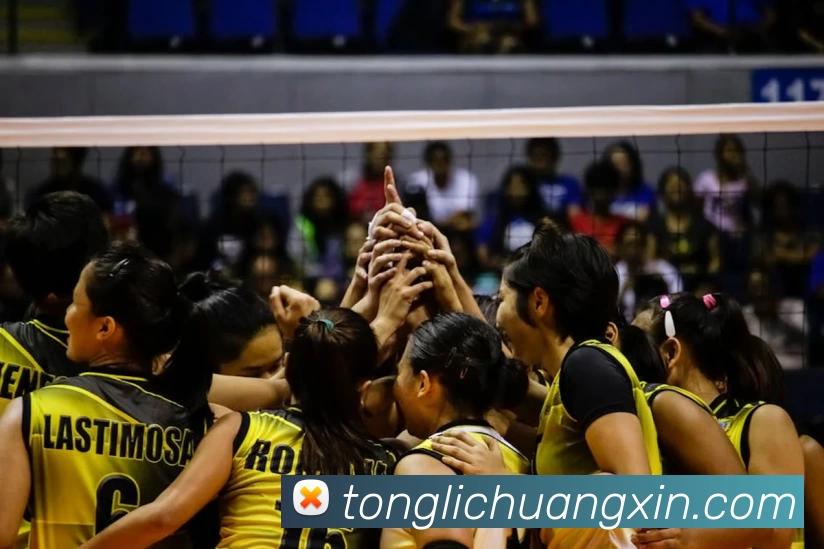 MK体育(中国)官方网站 - MK SPORTS发展历程